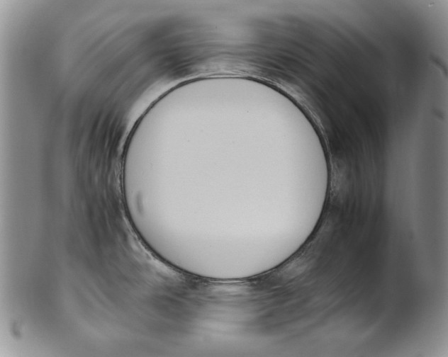X0000100771486200807101739
