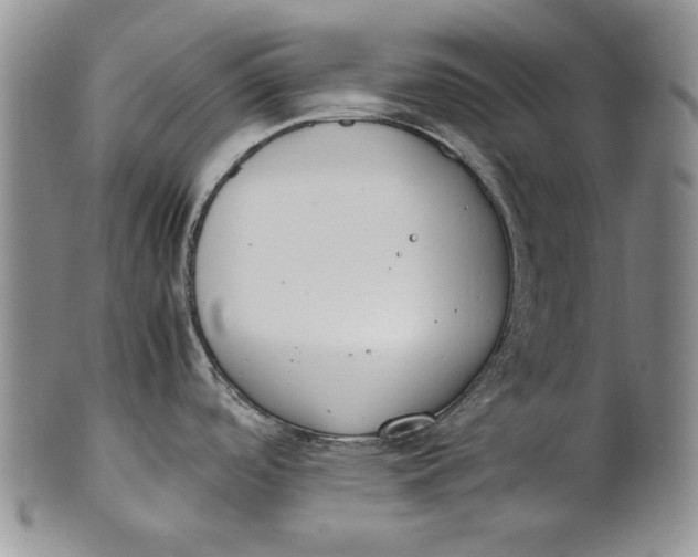 X0000100771488200807101739