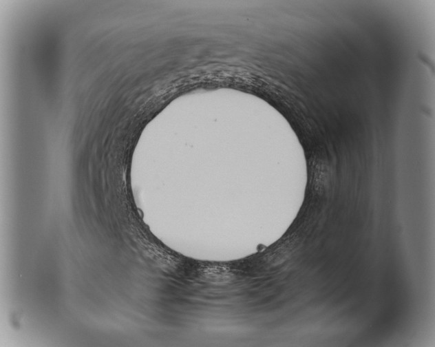 X0000100771489200807101739