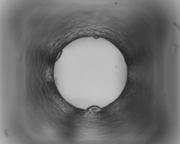 X0000100771490200807101739