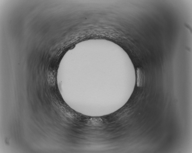 X0000100771491200807101739