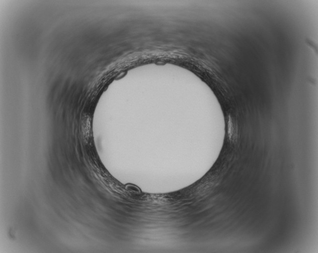 X0000100771492200807101739