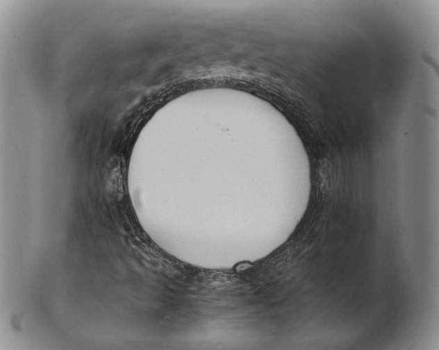 X0000100771493200807101739