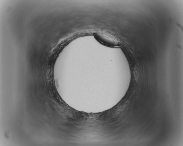 X0000100771494200807101739
