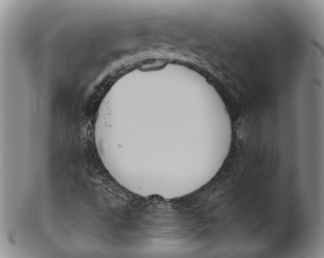 X0000100771495200807101739