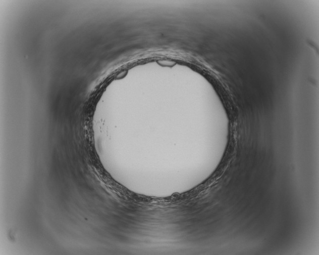 X0000100771496200807101739