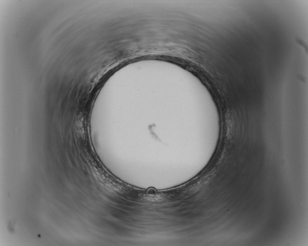 X0000100771497200807101739