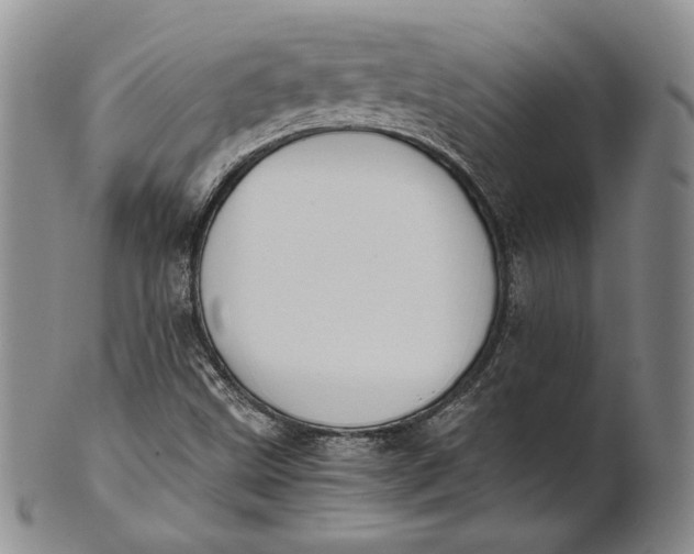 X0000100771499200807101739