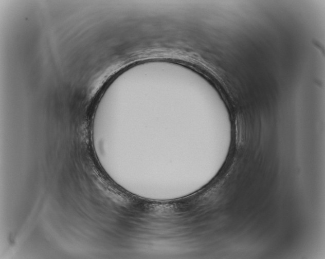 X0000100771501200807101739