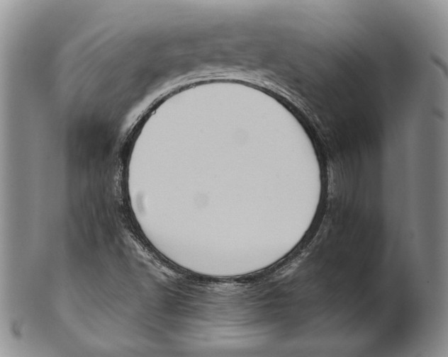 X0000100771502200807101739