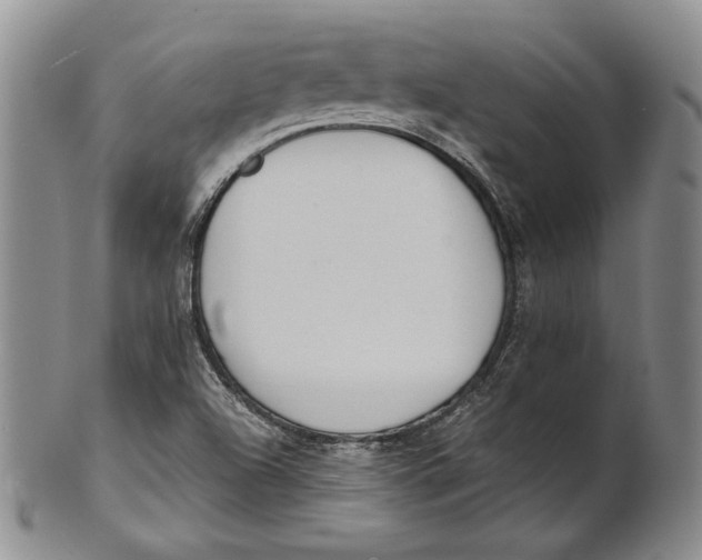 X0000100771504200807101739