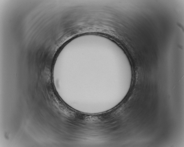 X0000100771505200807101739
