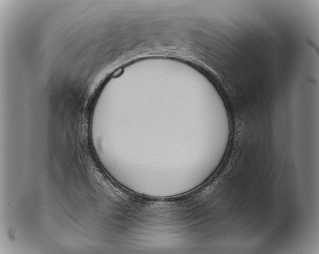 X0000100771506200807101739