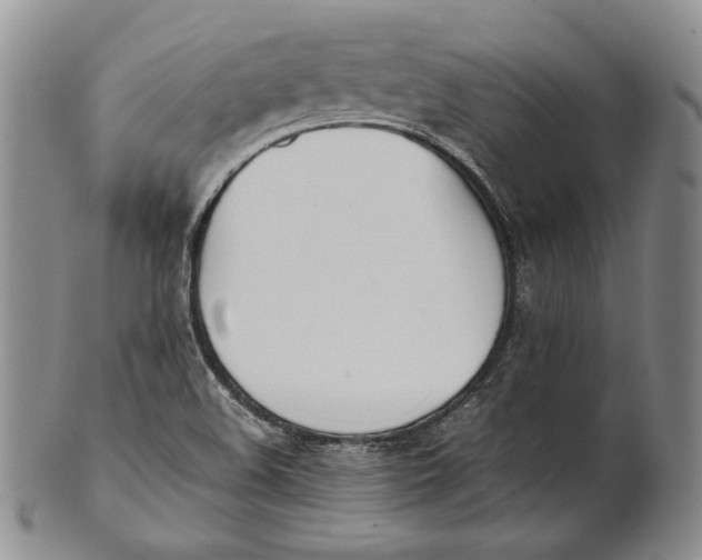 X0000100771508200807101739