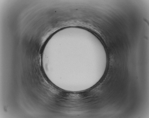 X0000100771509200807101739