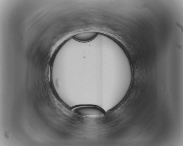 X0000100771510200807101739