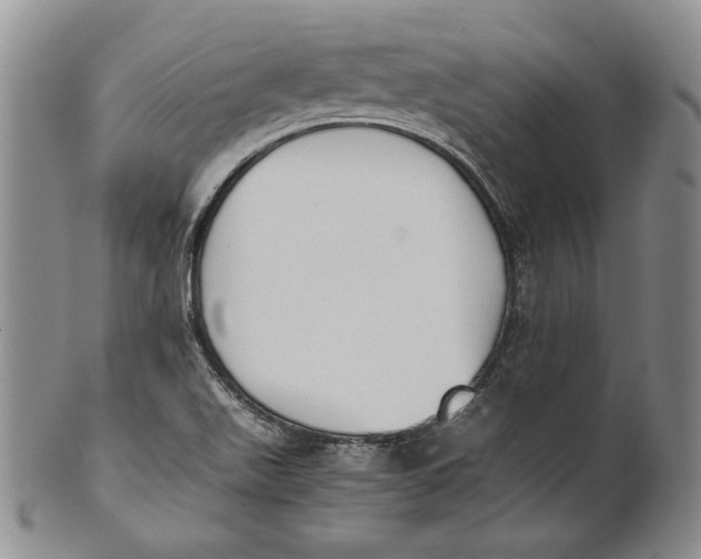 X0000100771511200807101739