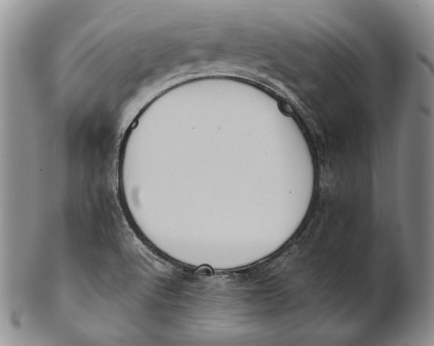 X0000100771512200807101739