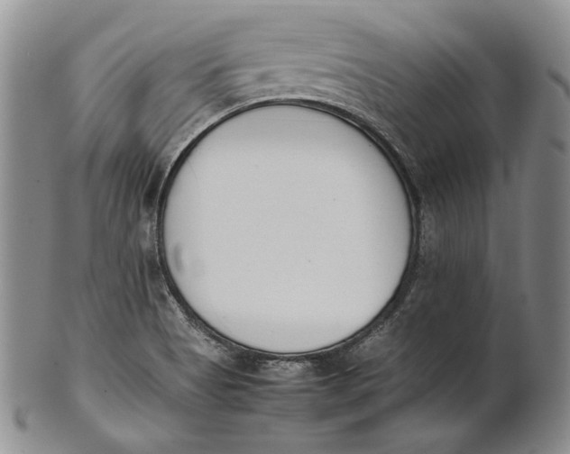 X0000100771513200807101739