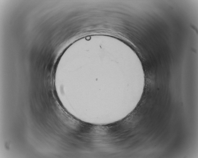 X0000100771514200807101739
