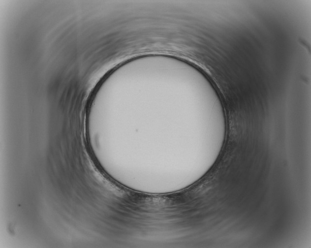 X0000100771515200807101739