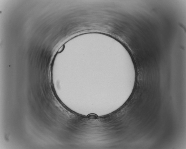 X0000100771516200807101739
