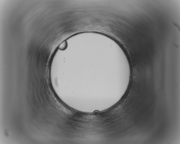 X0000100771517200807101739