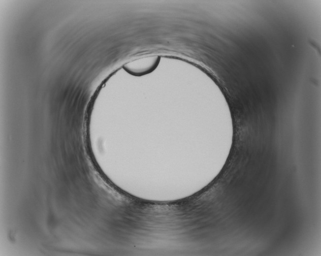 X0000100771518200807101739