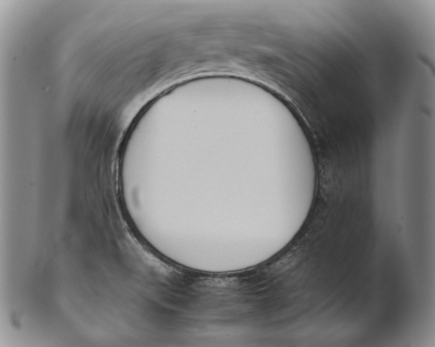 X0000100771519200807101739