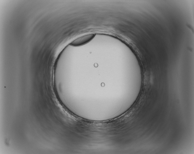 X0000100771520200807101739