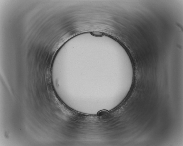 X0000100771521200807101739