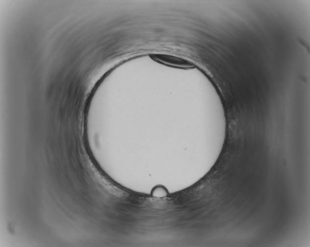 X0000100771523200807101739