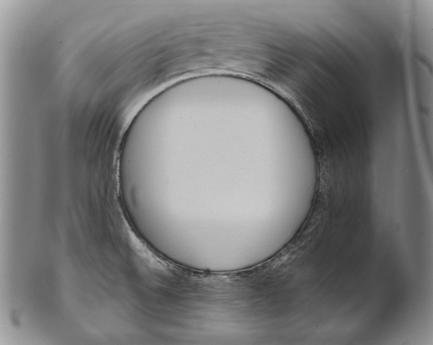 X0000100771524200807101739
