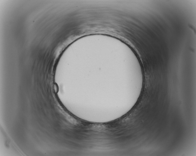 X0000100771525200807101739