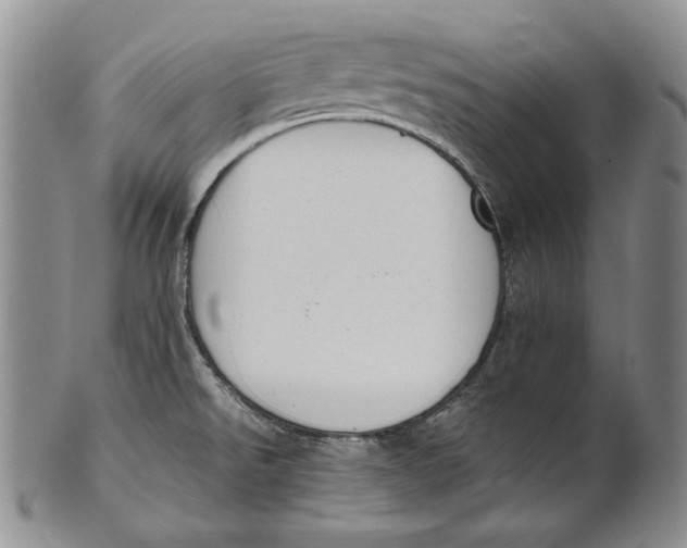 X0000100771526200807101739