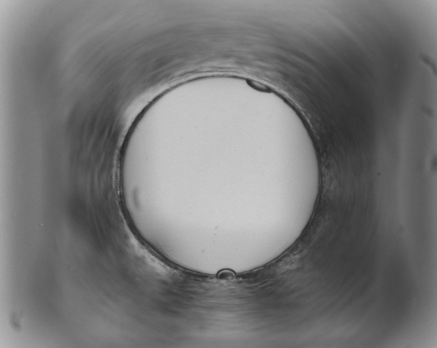 X0000100771527200807101739