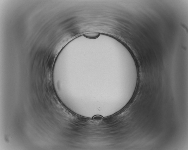 X0000100771529200807101739