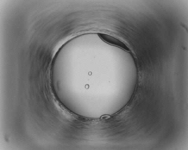 X0000100771530200807101739