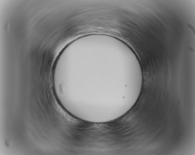 X0000100771531200807101739