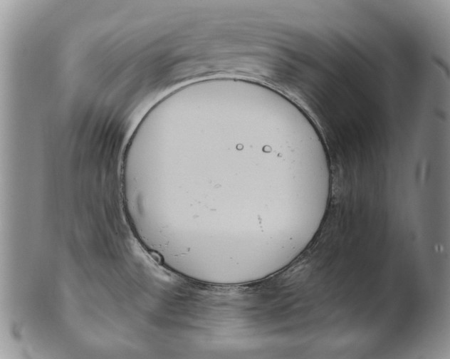 X0000100771532200807101739