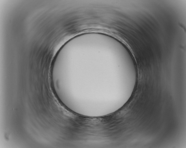 X0000100771533200807101739