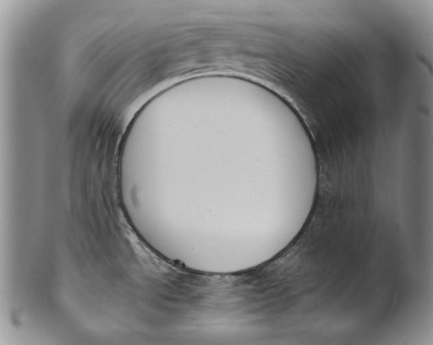 X0000100771534200807101739