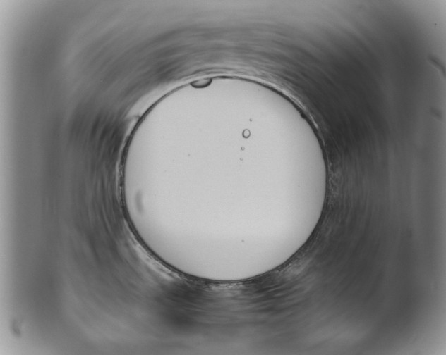 X0000100771535200807101739