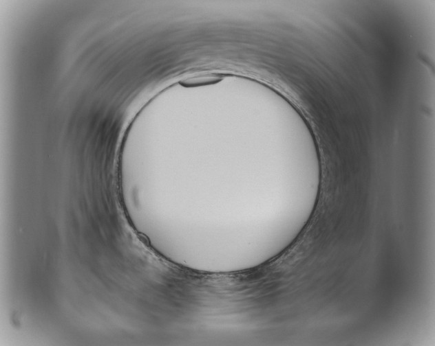 X0000100771536200807101739