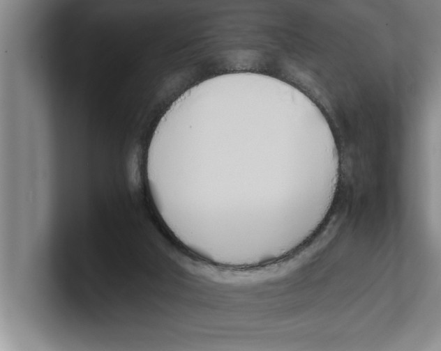 X0000100770018200807171422