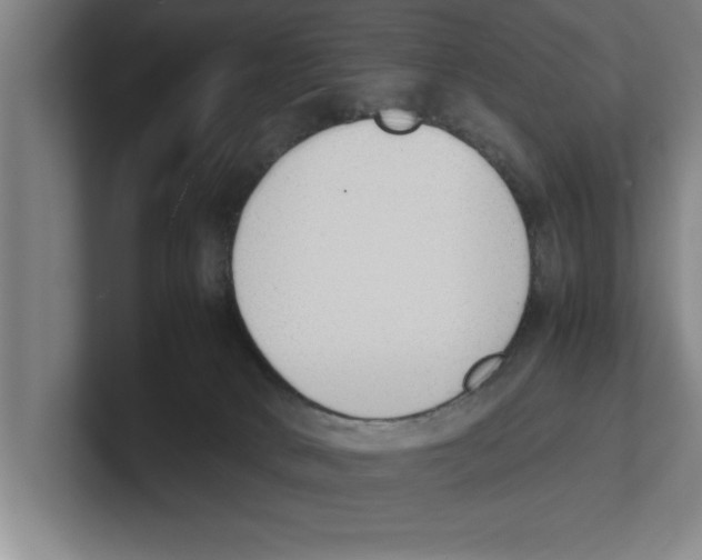 X0000100770034200807171421