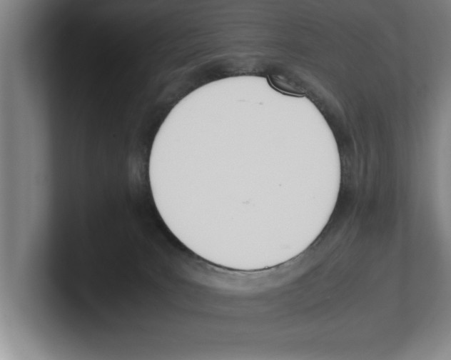 X0000100770035200807171421