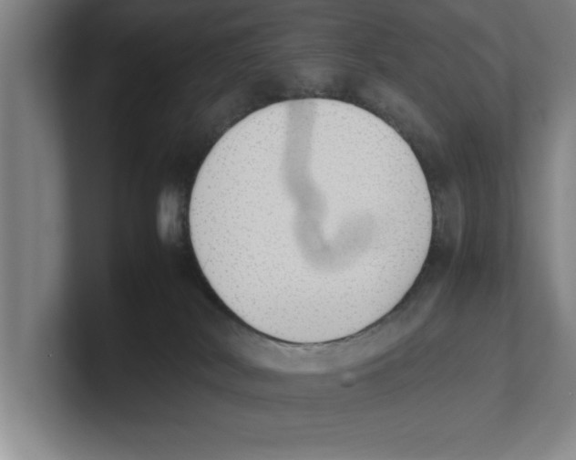 X0000100770038200807171421