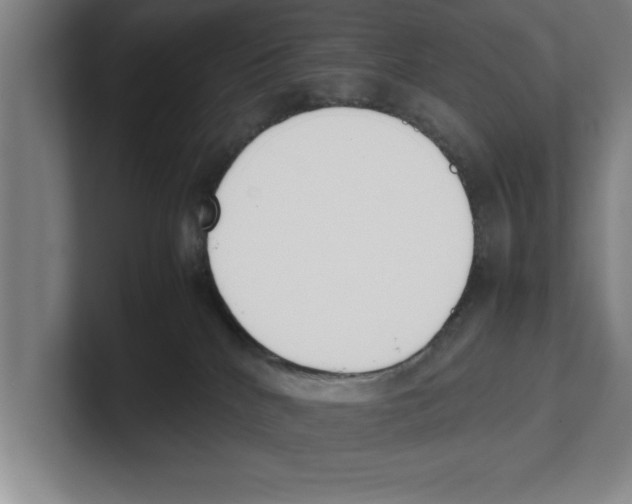 X0000100770040200807171421
