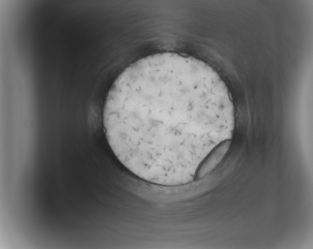 X0000100770043200807171421